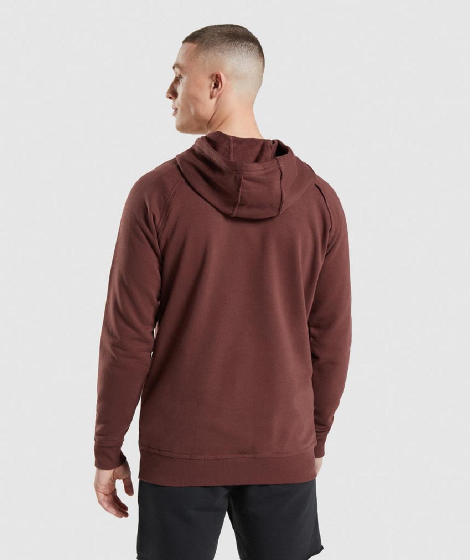 Sudadera Con Capucha Gymshark Legacy Hombre Rosas Marrones | CO 3629WNB